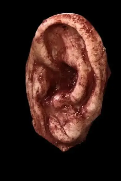 "Severed Ear" Halloween Prop 1