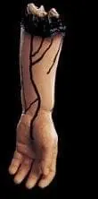 "Severed Left Arm" Bloody Human Body Part Prop 1