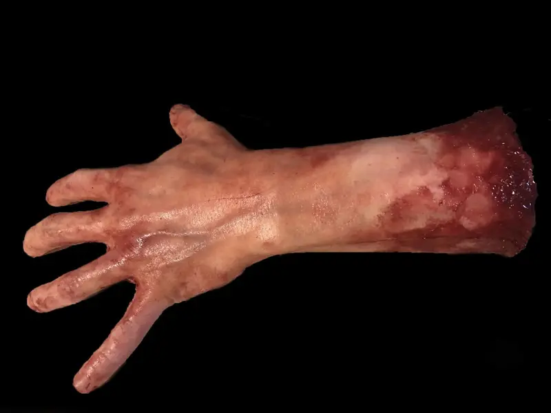 "Severed Left Male Hand - Silicone" Human Body Part Halloween Prop 1