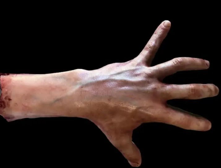"Severed Male Arm Silicone Human Body Part Halloween Prop 1