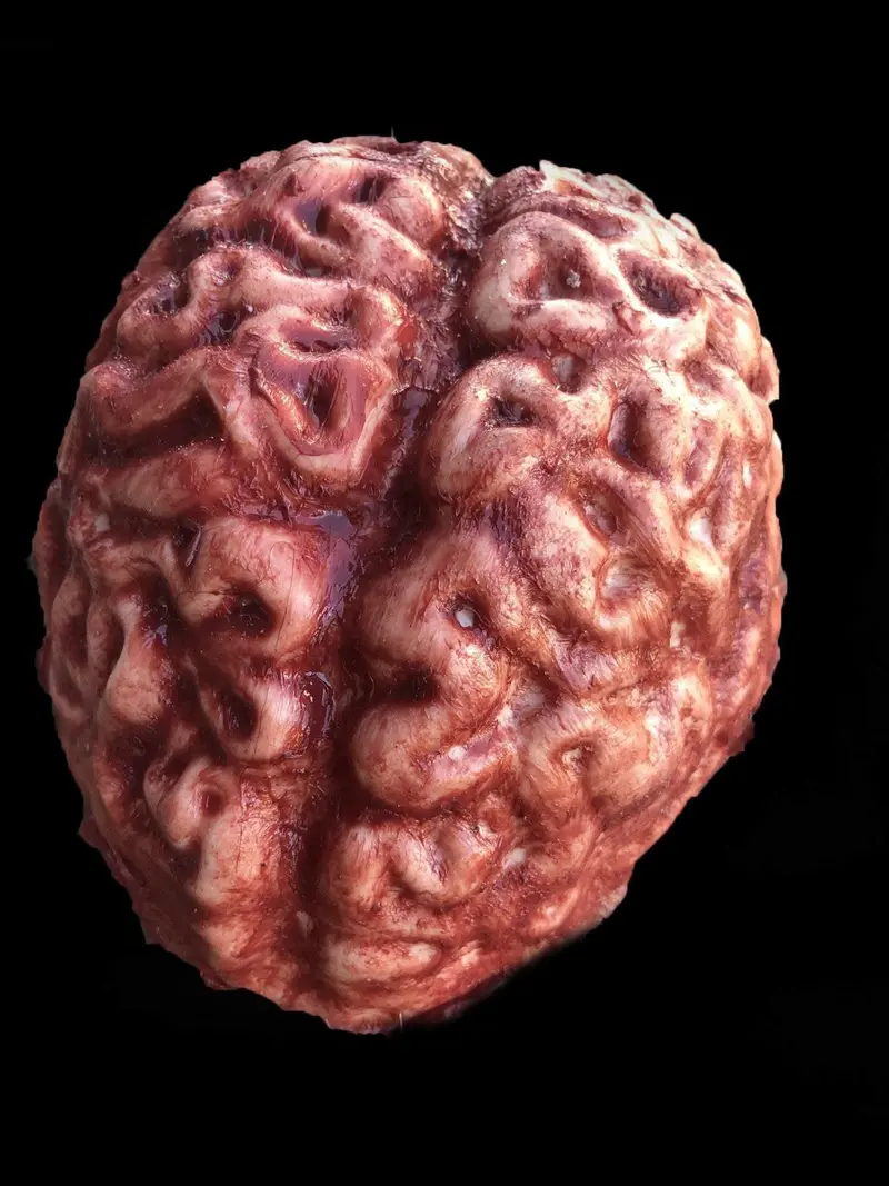 "Silicone Brain" Body Part Halloween Prop 1