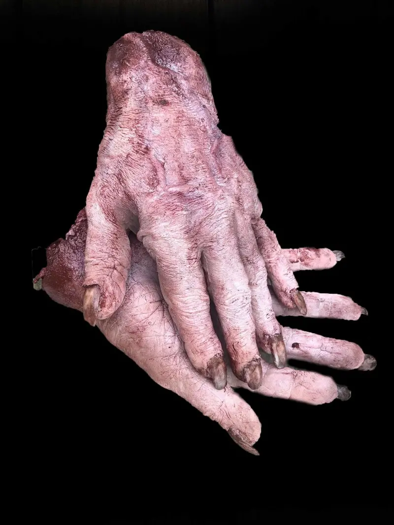 "Silicone Pair Of Witch Hands" Body Parts Halloween Prop 1