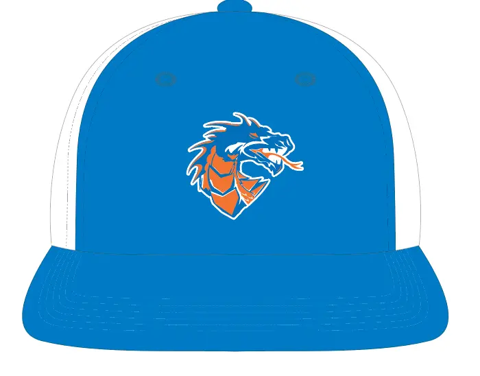 Silver Creek Dragons Snapback Cap 1