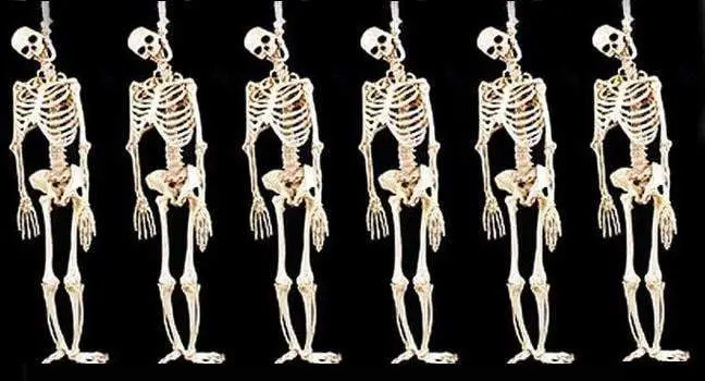 "Skeleton Halloween Props" - 6X Package Deal 1