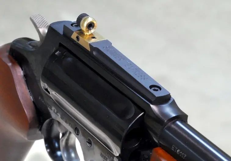 Skinner Circuit Judge "Express" Sight 1