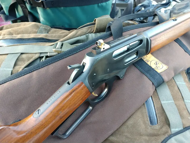 Skinner Express Sights 1
