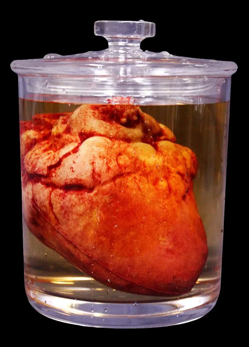 Small Lifelike Heart Specimen Jar Halloween Prop 1