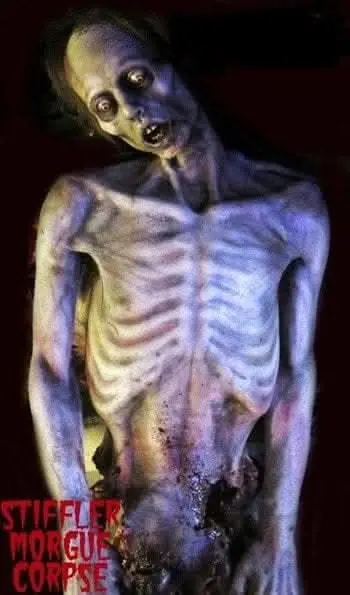 "Stiffler Morgue Corpse" Professional Human Body Halloween Prop 1