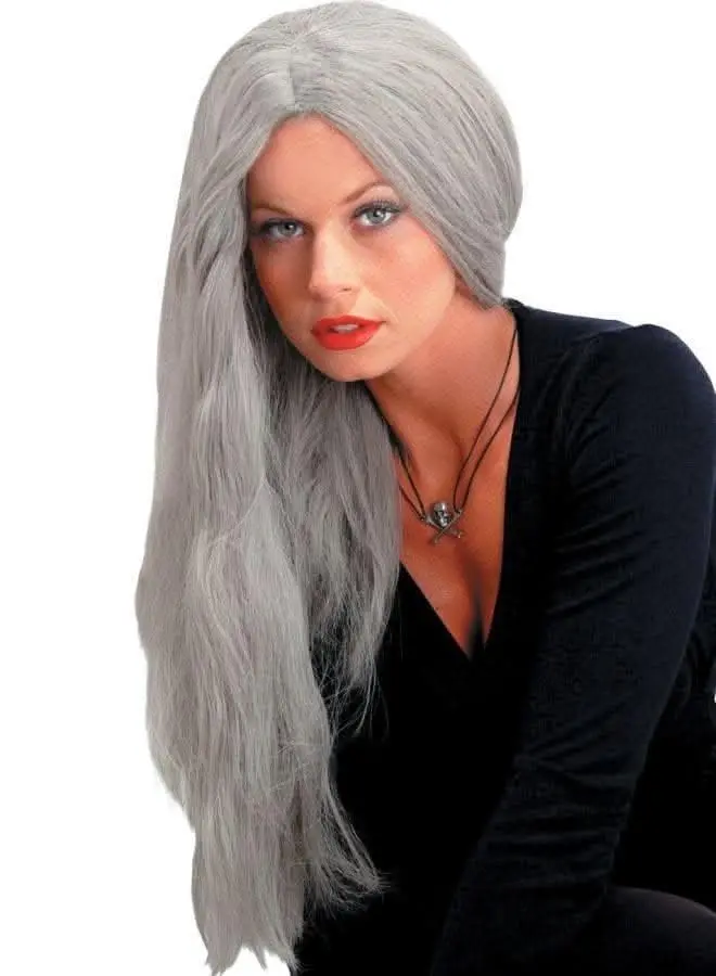 "Straight Grey Witch" Halloween Wig - 24" 1
