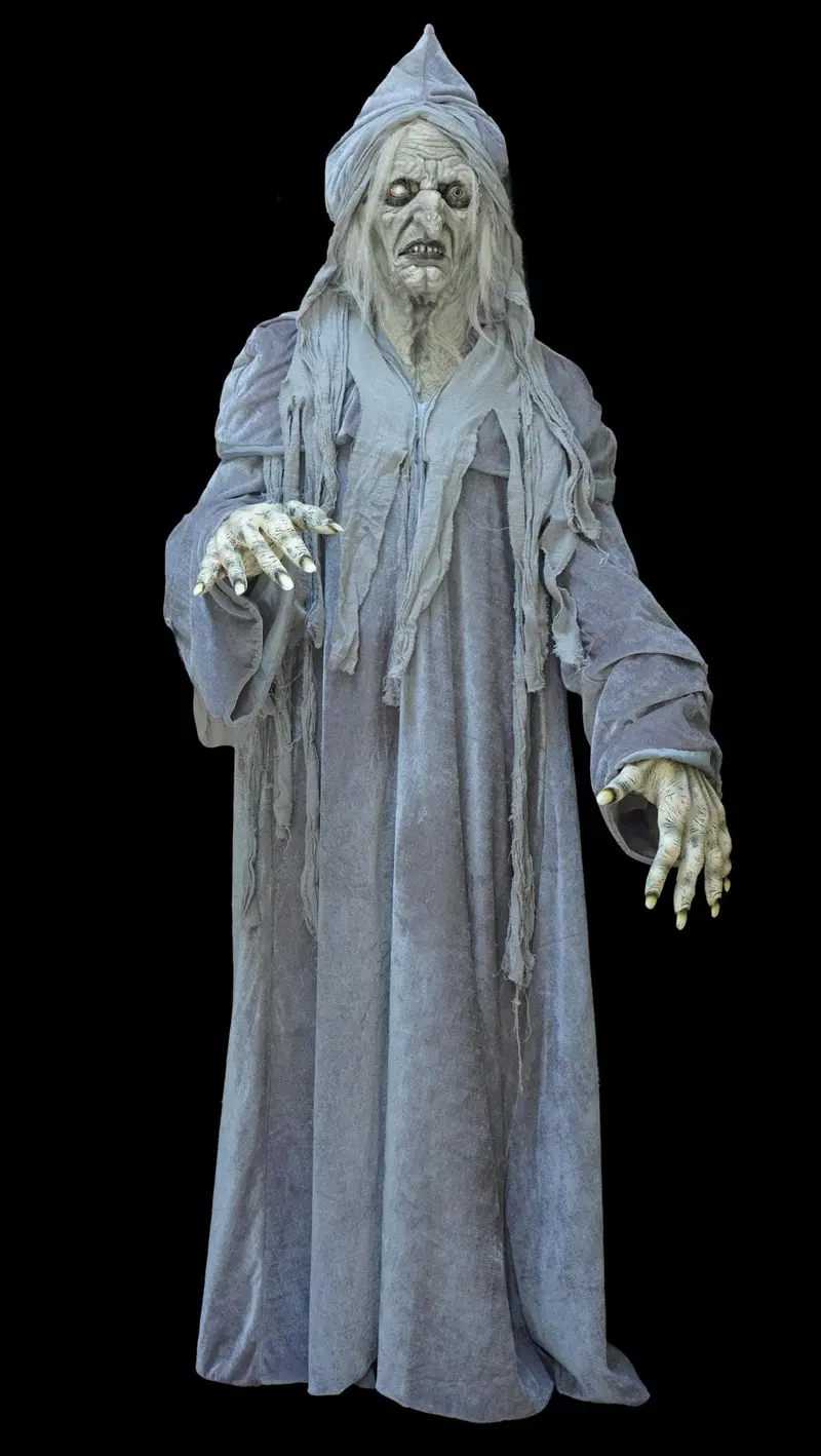 "Swamp Hag" Hd Studios Costume 1