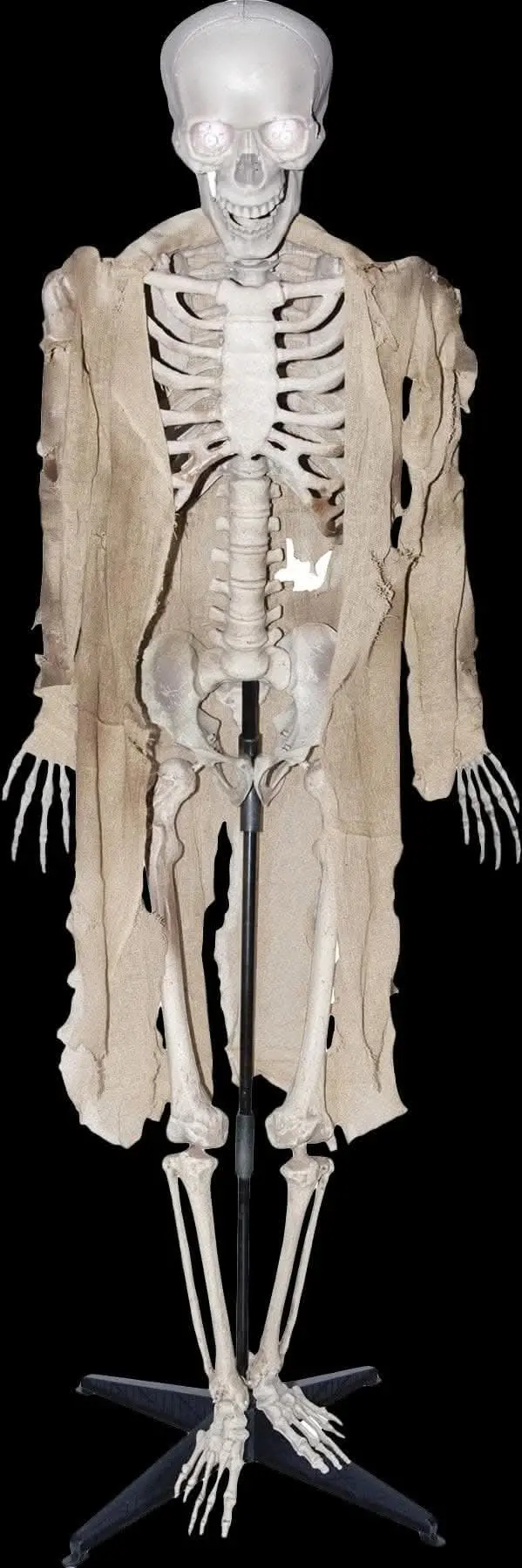 "Talking Skeleton" Halloween Prop - Open Box 1