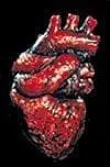 "The Human Heart" Bloody Halloween Prop 1