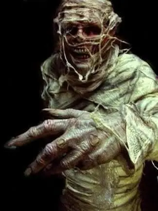 "The Mummy" Professional Costume 1