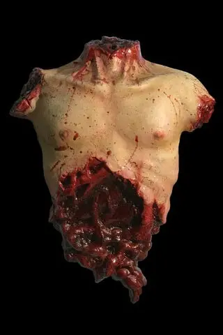 Torso Prop Flat Black Halloween Prop 1