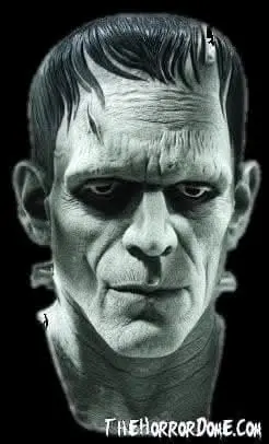 "Universal Studios Frankenstein" Mask 1