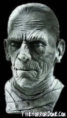"Universal Studios Mummy" Mask 1