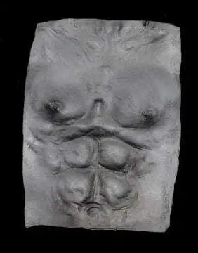 "Werewolf Chest Plate - Grey" Halloween Costume Accessory 1