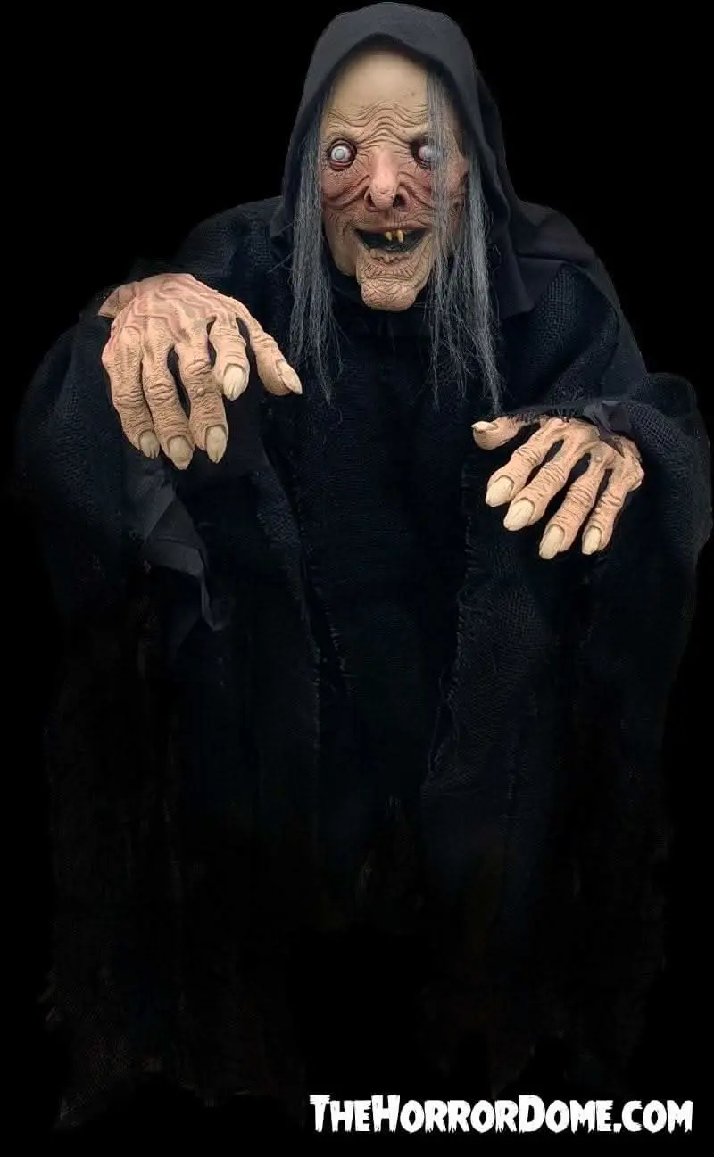 "Wicked Witch" Hd Comfort Fit Halloween Costume 1