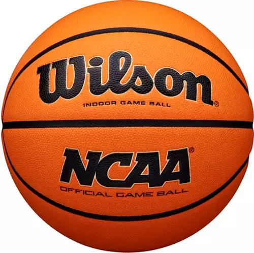 Wilson Evo Nxt Basketball 1