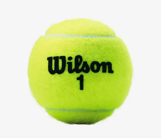 Wilson Game Tennis Ball - Case 1