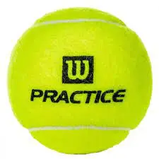 Wilson Practice Tennis Ball - Case 1