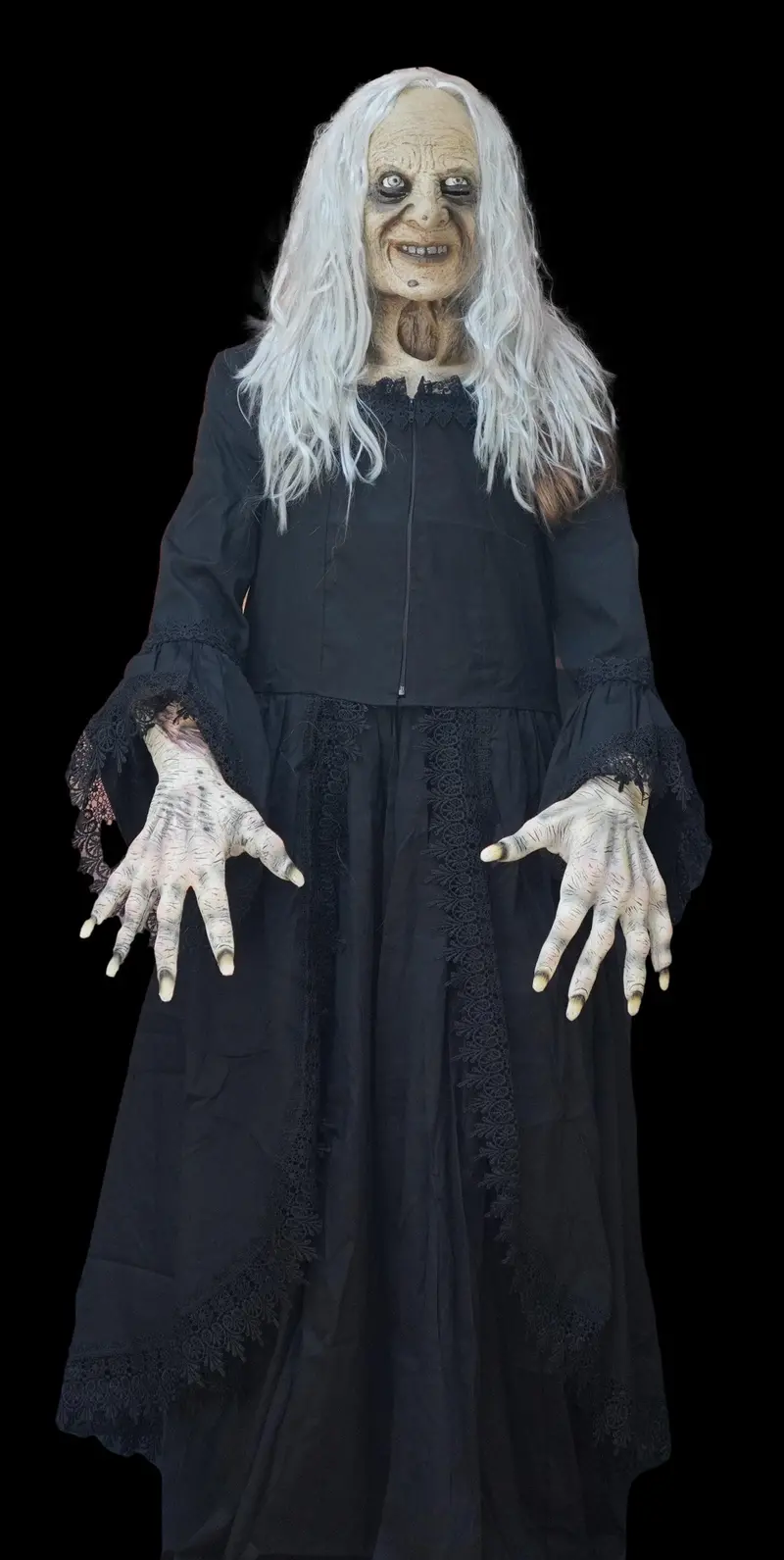 "Witchy Woman" Hd Studios Halloween Costume 1
