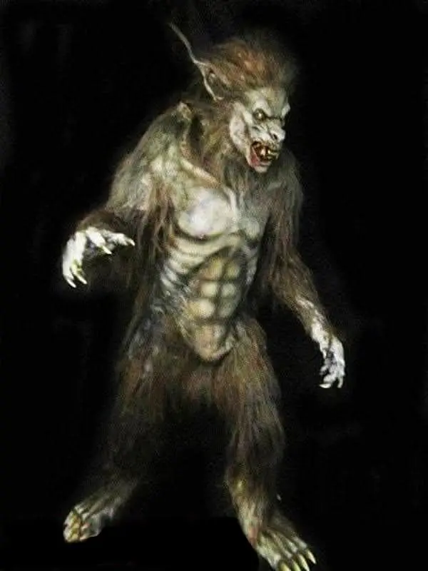 "Wolf Man" Professional Costume 1