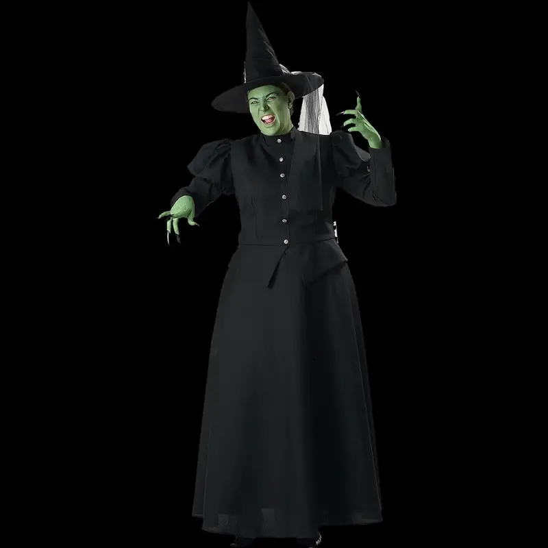 Women's Plus Size Witch Costume 1