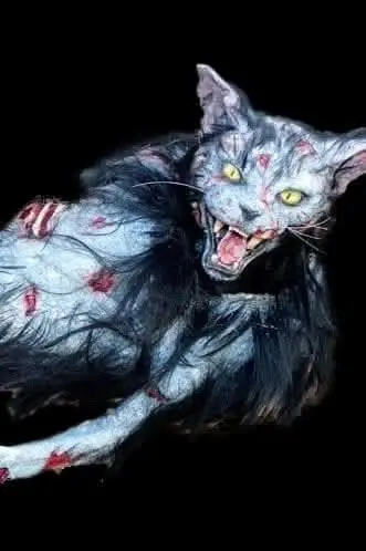 "Zombie Cat" Hd Studios Halloween Puppet Prop 1