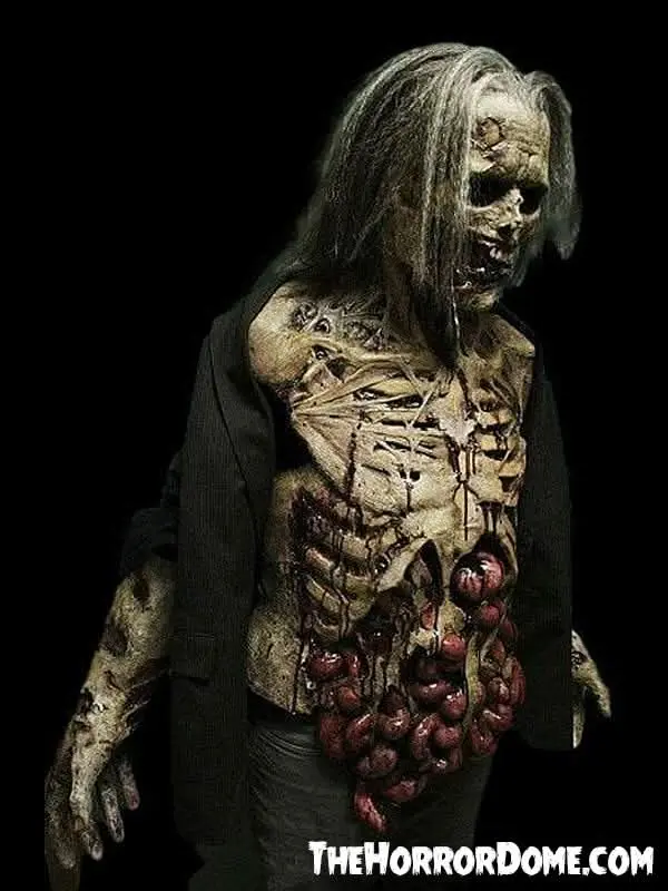 "Zombie Lurker" Hd Studios Pro Halloween Costume 1