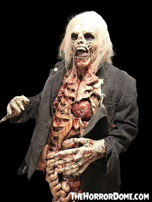 "Zombie Walker" Hd Studios Pro Halloween Costume 1